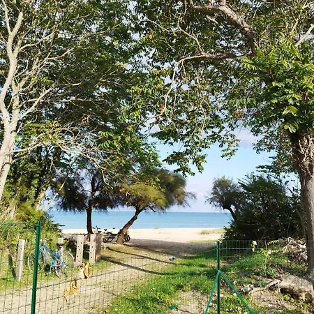 Les Pieds Dans L'o - Oleron Saint-Denis-dʼOléron