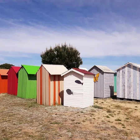 Les Pieds Dans L'ô - Oléron *