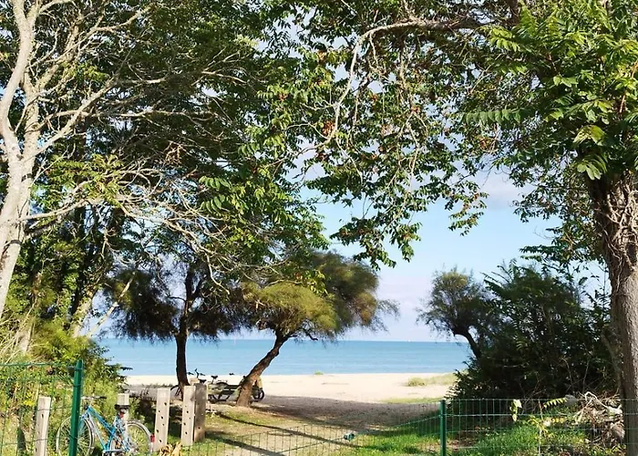 Les Pieds Dans L'ô - Oléron Saint-Denis-dʼOléron