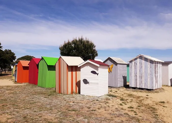 Les Pieds Dans L'ô - Oléron *